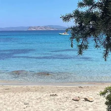 Surf House Mirice Vignola Mare